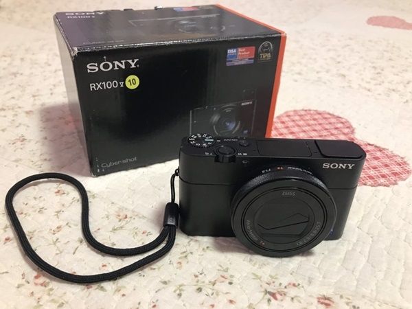 就是我的理想型！SonyRX100V(DSC-RX100M5)媽媽的夢幻相機共譜與孩子